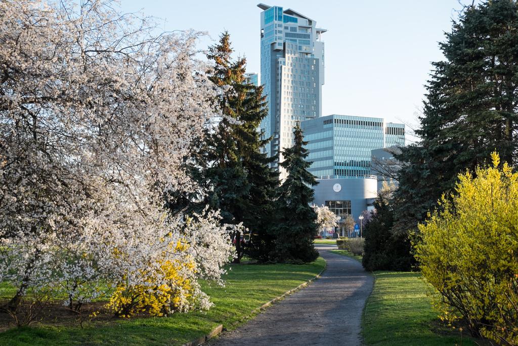 Studio Świętojańska Gdynia Pokój zdjęcie